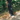 Nudie Jeans Tuff Tony - Black Vintage